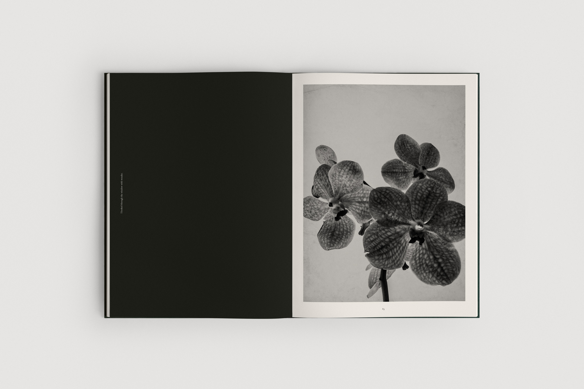 Jonas-Bjerre-Poulsen-The-Reinvention-of-Forms-Book-Packshots-Web-08